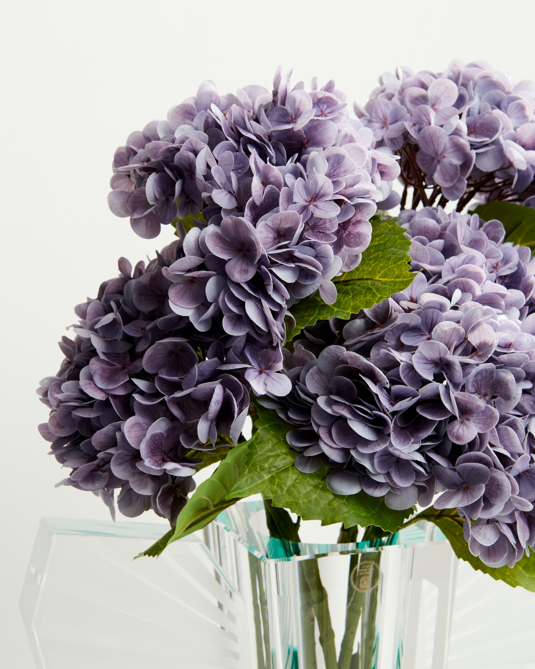 Hydrangea - Purple