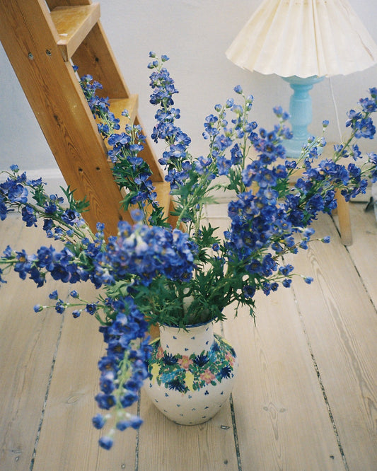 Larkspur - Blue
