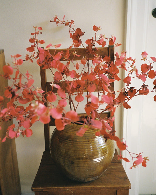 Dancing Orchid - Red