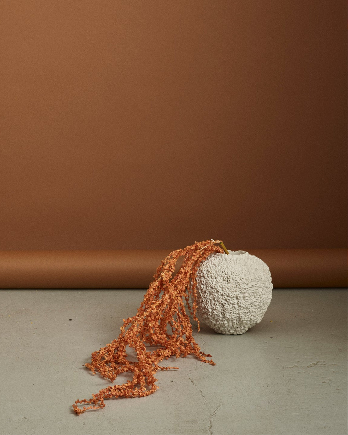 Amaranthus Bright - Orange