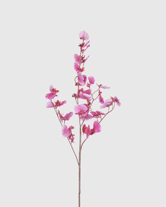 Dancing Orchid - Pink