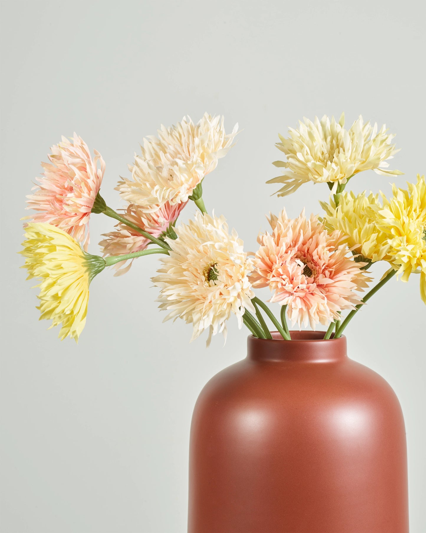 GERBERA SUNSET BUNDLE