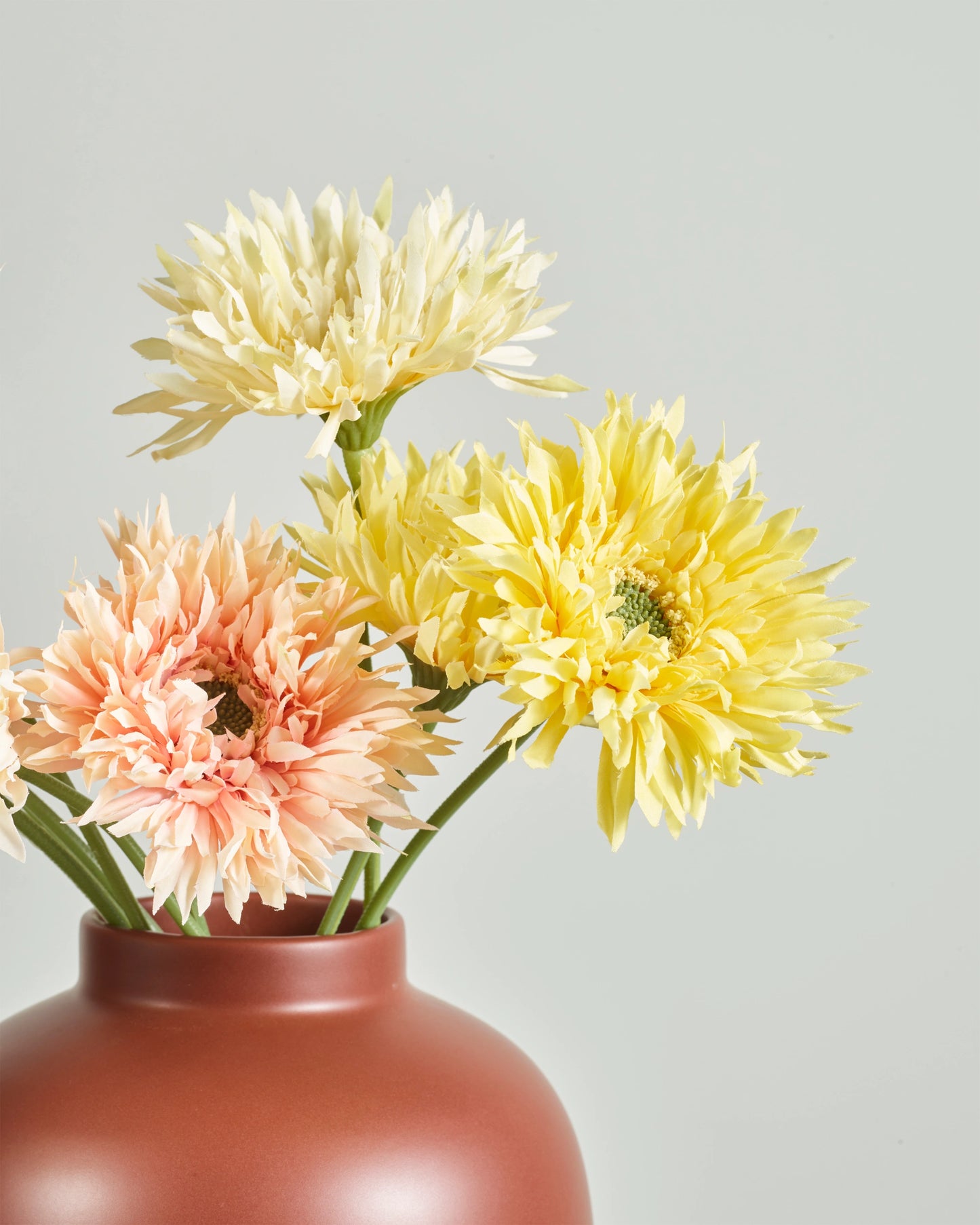 GERBERA SUNSET BUNDLE