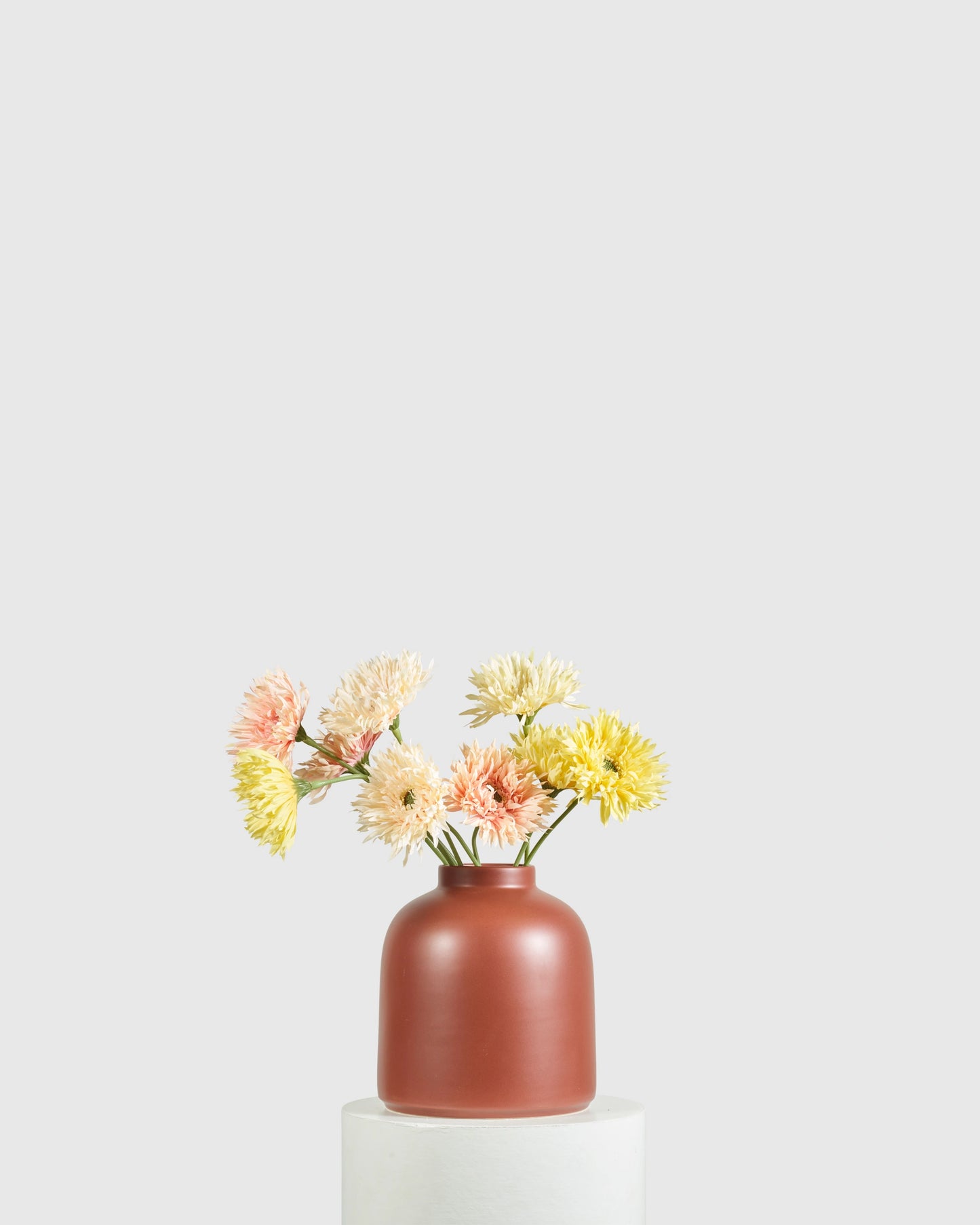 GERBERA SUNSET BUNDLE