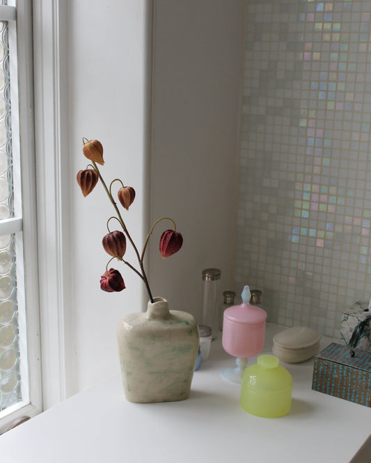 Physalis - Coffee Purple