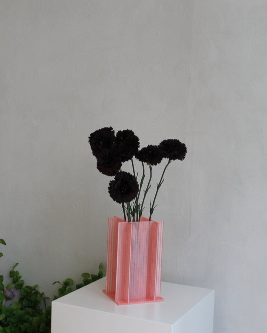 Carnation - Bordeaux