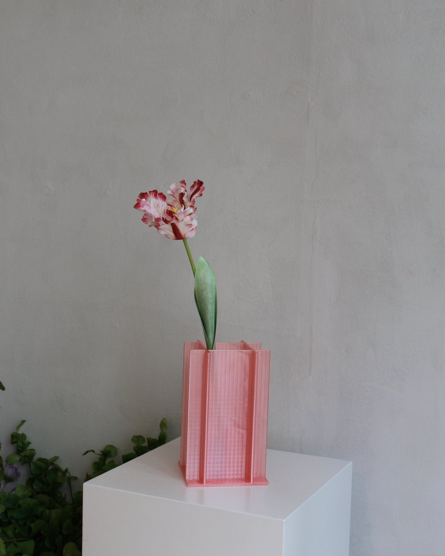 Couture Parrot Tulip - Red White