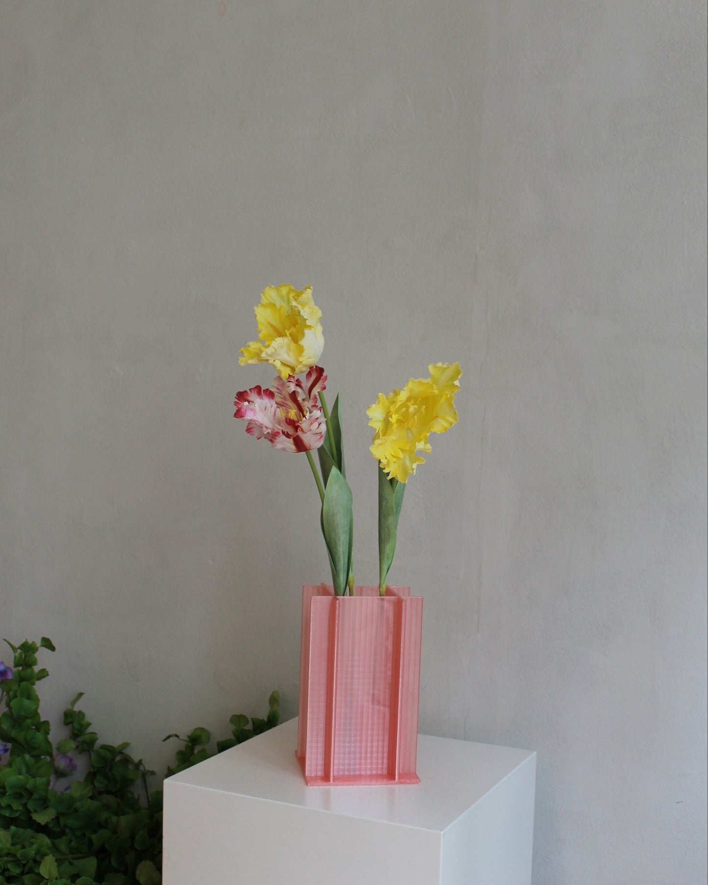 Couture Parrot Tulip - Red White