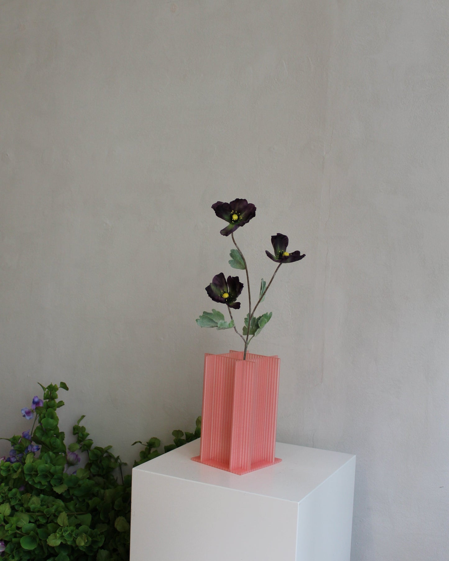 Poppy - Dark Purple