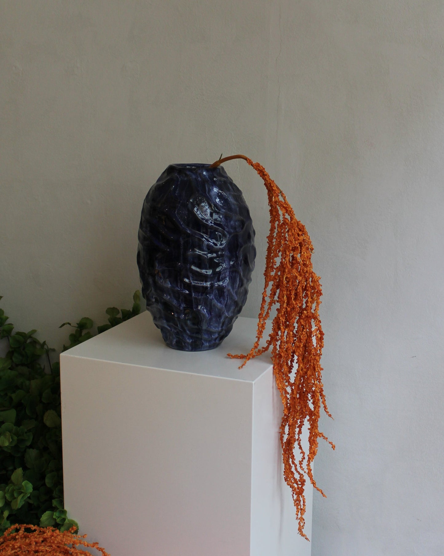 Amaranthus Bright - Orange