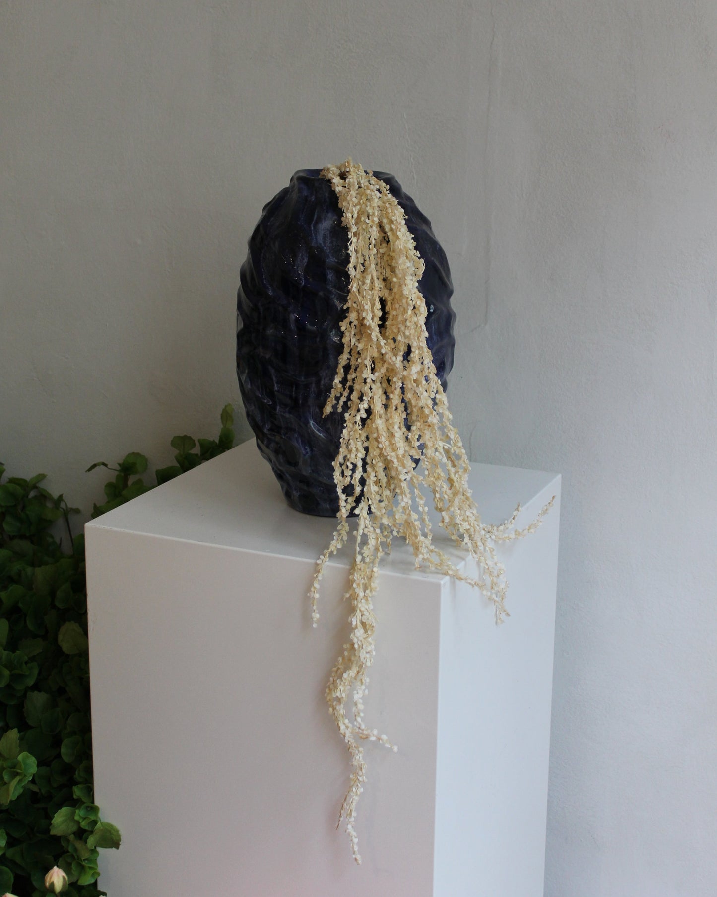 Amaranthus - Beige