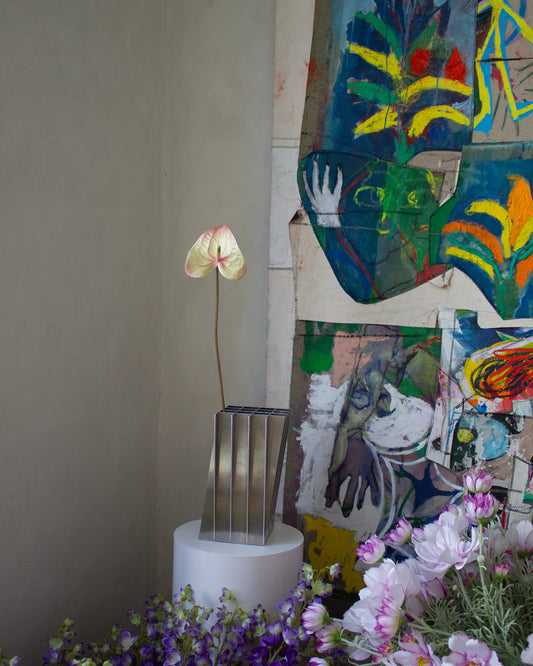 Anthurium - Champagne Pink