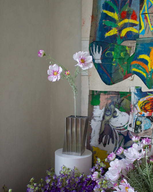 Cosmos - White Purple