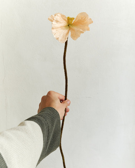 Poppy - Peach – held in hand