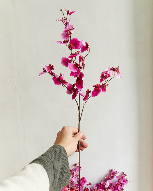 Dancing Orchid - Pink – held in hand