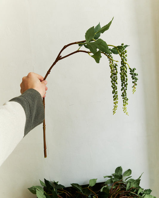 Pokeweed - Green – held in hand