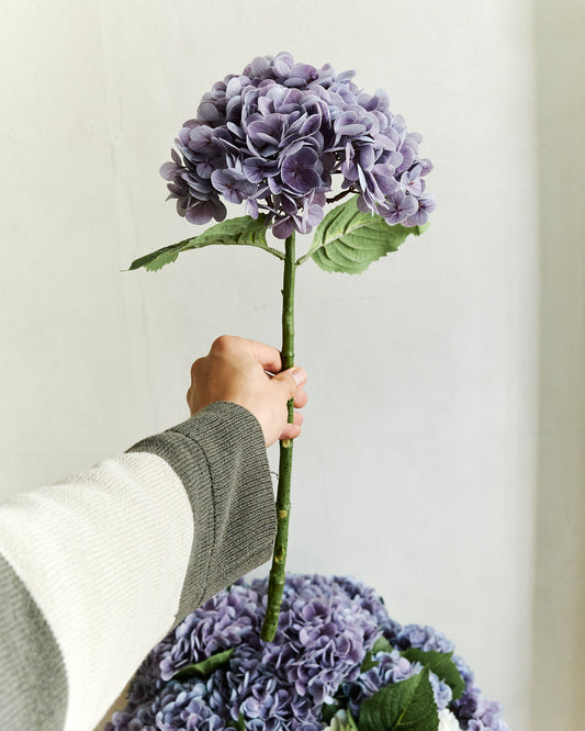Hydrangea - Purple – held in hand