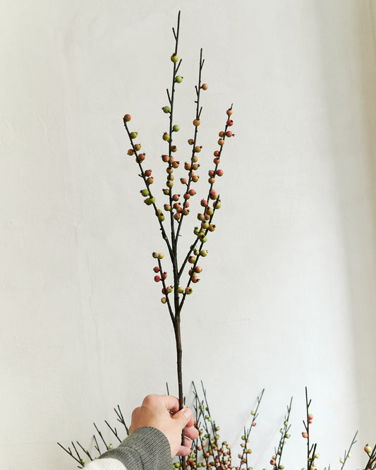 BERRY - GREEN/ORANGE – held in hand
