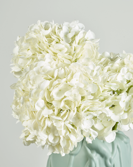 WHITE HYDRANGEA BUNDLE