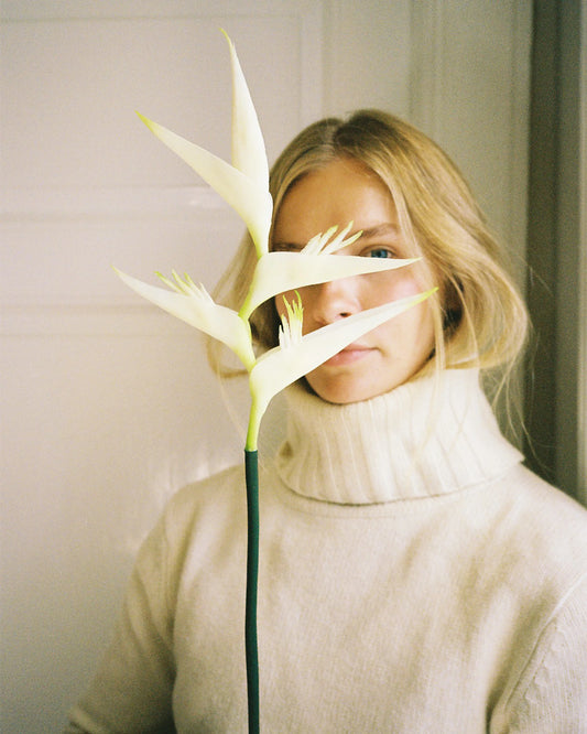 Bird of Paradise - White