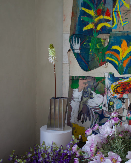 Torch Lily - Green White