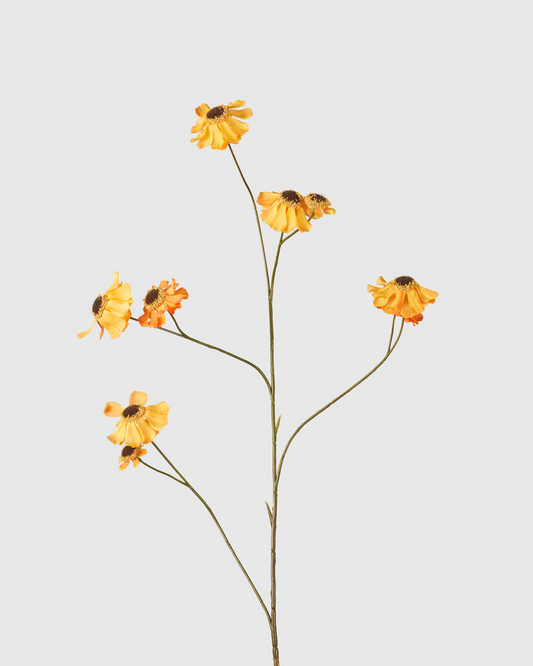 Rudbeckia Spray - Orange