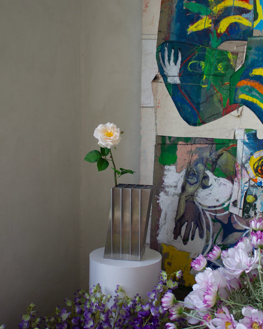 Tea Rose - Champagne White