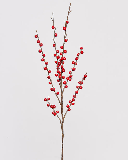 BERRY - RED