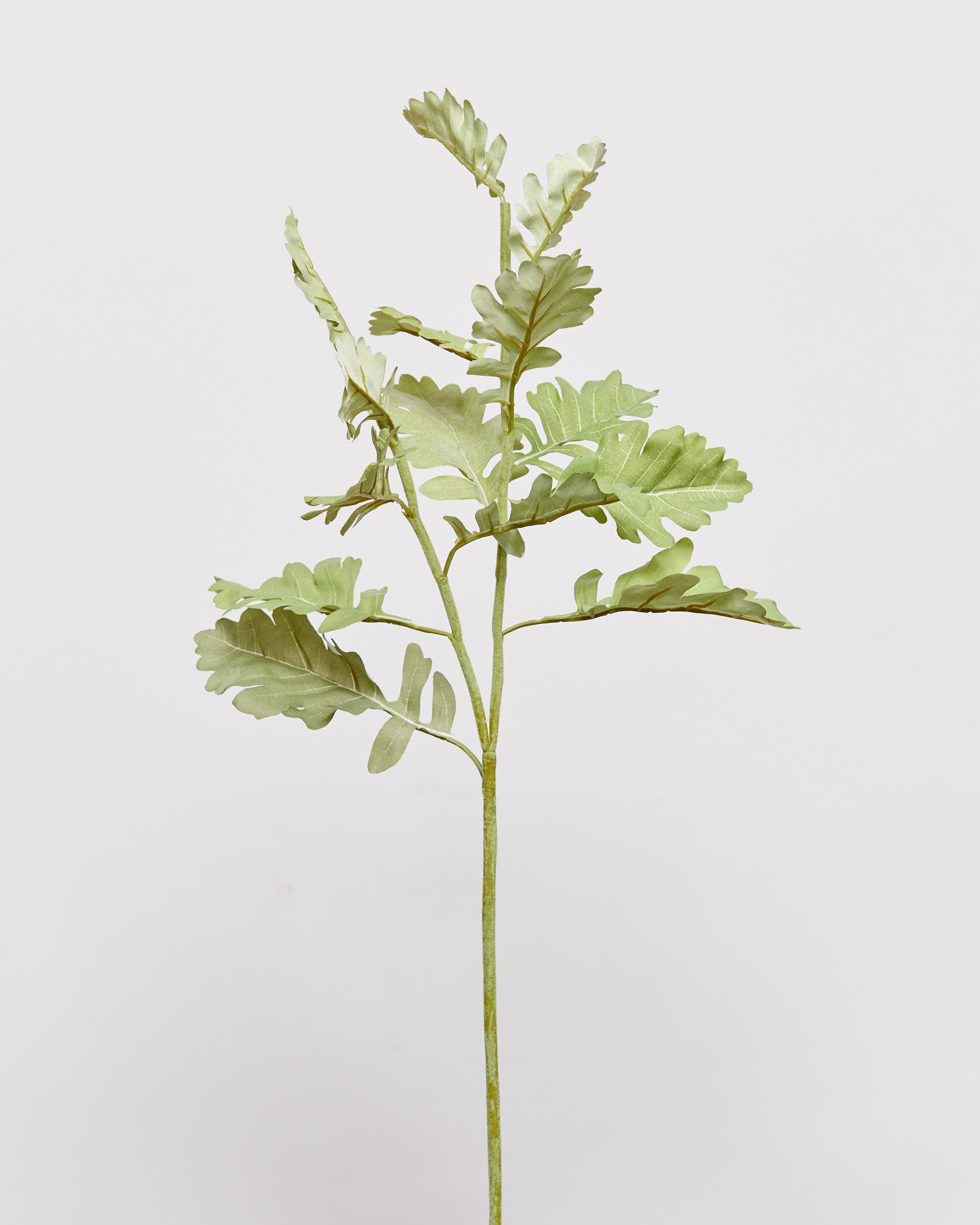 LEAF SPRAY - GREEN