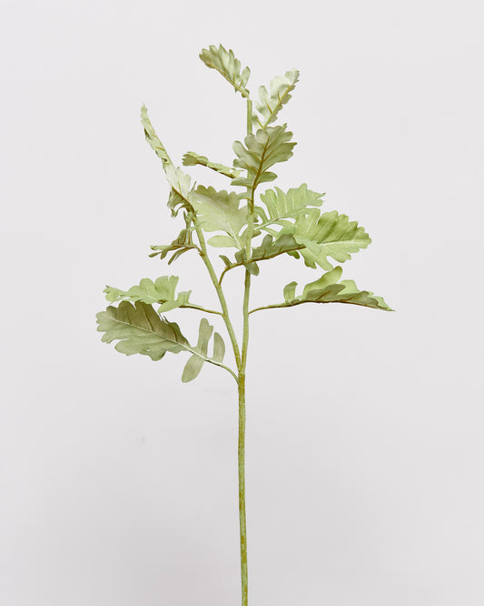 LEAF SPRAY - GREEN