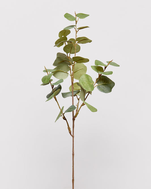 EUCALYPTUS - GREEN