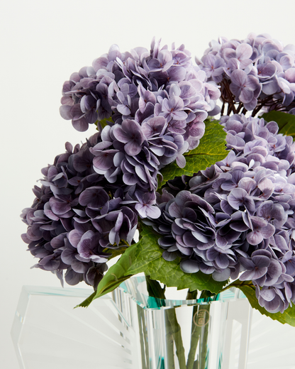 Hydrangea - Purple