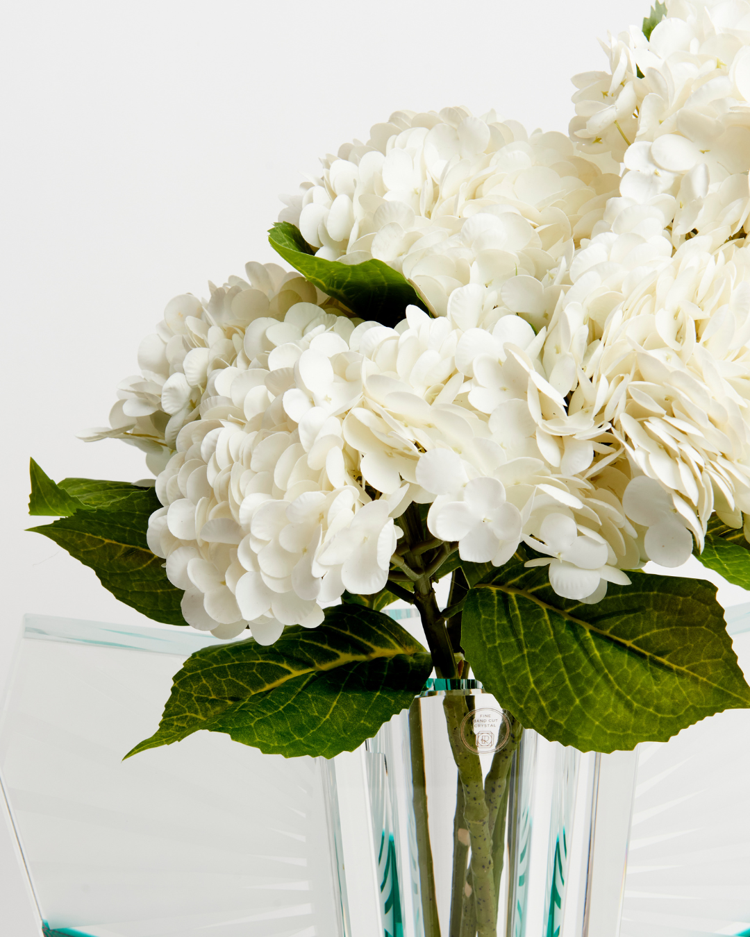 Hydrangea - White