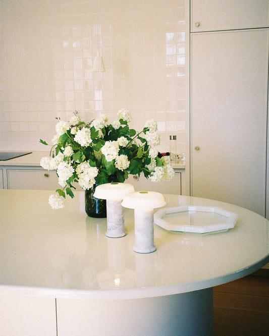 Hydrangea Branch - White