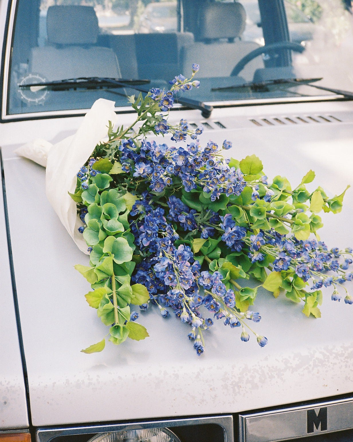 Shell Flower - Green