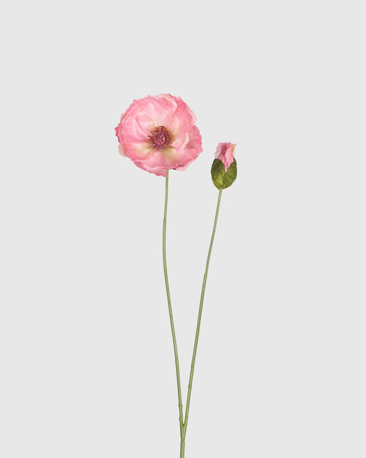 Poppy - Pink
