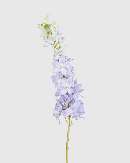 Big Swallow - Light Purple