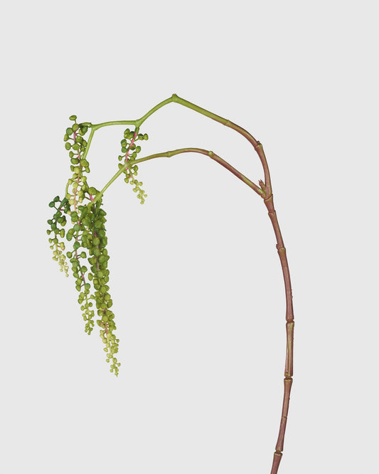 Pokeweed - Green
