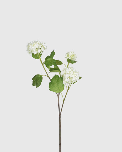 Hydrangea Branch - White