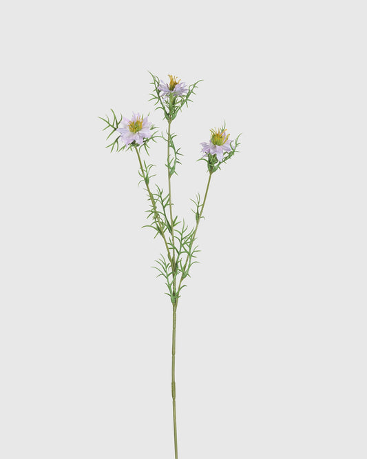 Black Seed Grass - Light Purple
