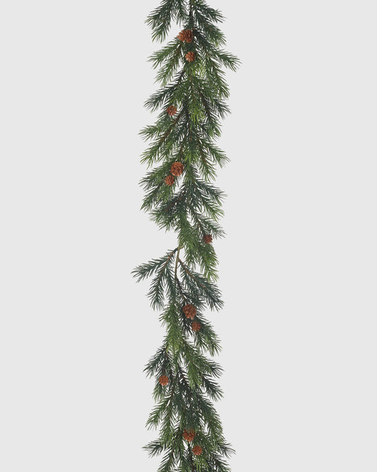 FIR VINE #2