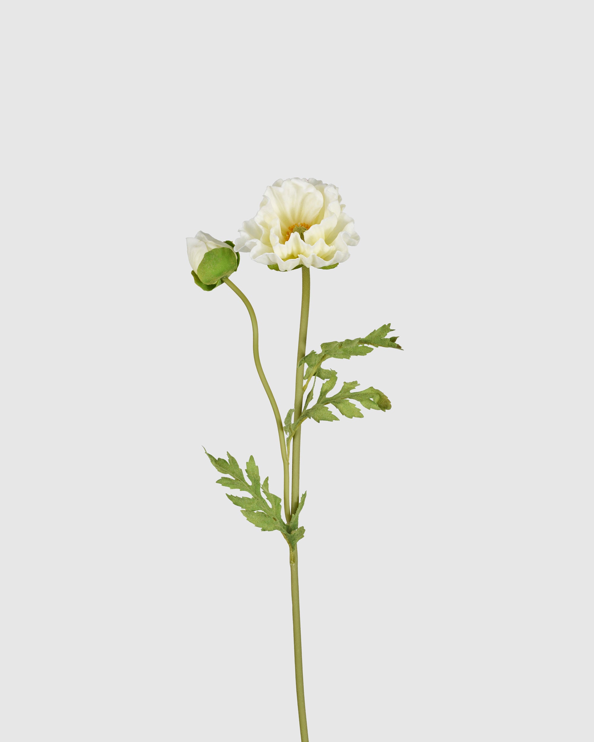 Poppy - Butter Yellow