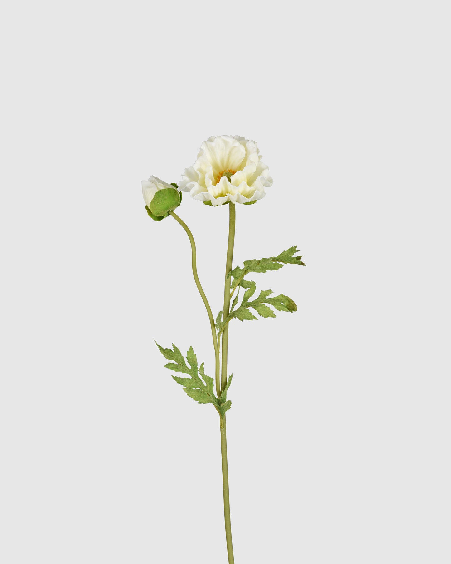 Poppy - Butter Yellow