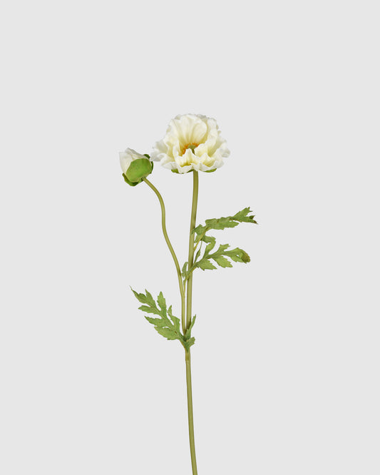 Poppy - Butter Yellow
