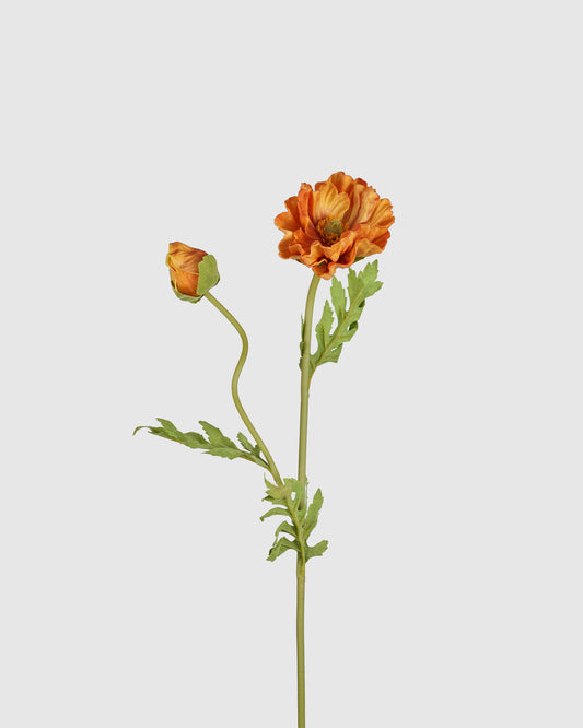 Poppy - Burned Orange