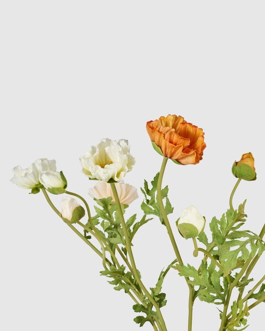 Poppy Bundle
