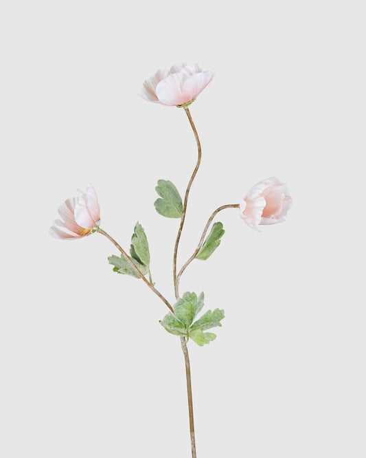 Poppy - Light Pink