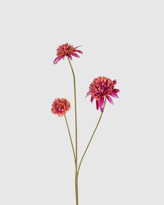 Rudbeckia Spray