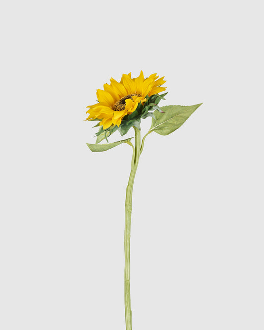 Sunflower - Yellow