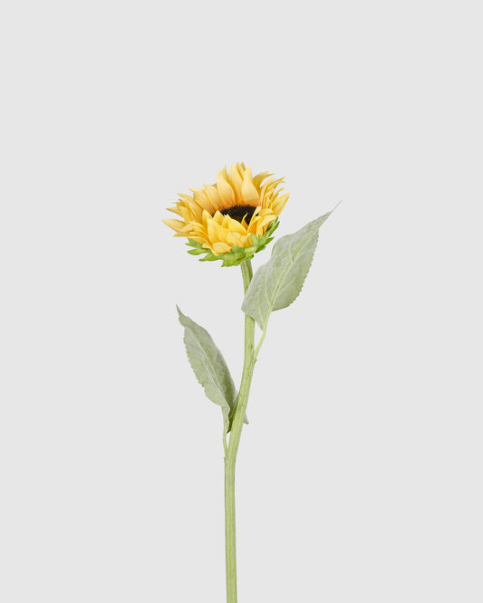 Sunflower - Yellow